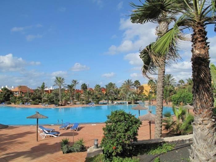 Oasis Tamarindo By Best Holidays Fuerteventura Corralejo Exterior photo