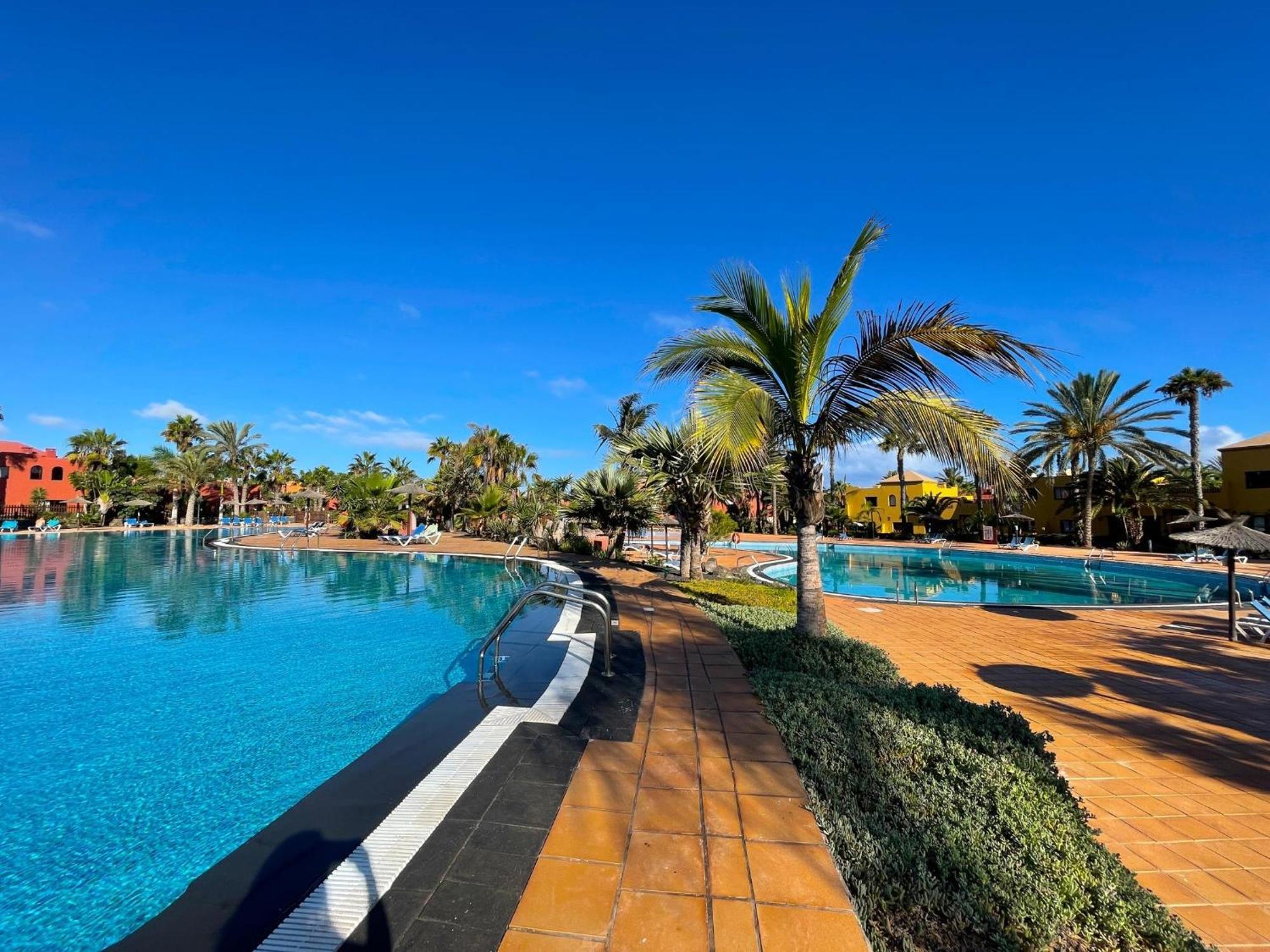 Oasis Tamarindo By Best Holidays Fuerteventura Corralejo Room photo