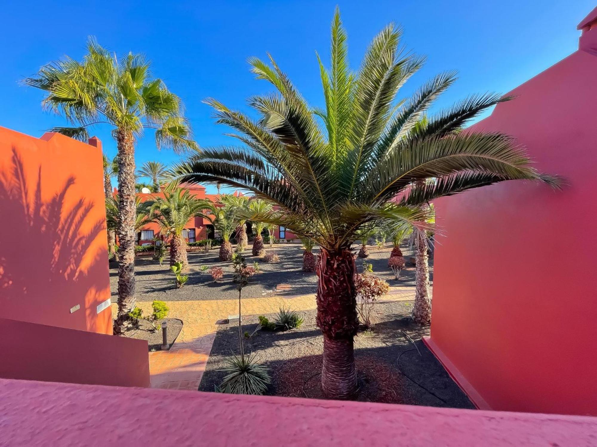 Oasis Tamarindo By Best Holidays Fuerteventura Corralejo Room photo